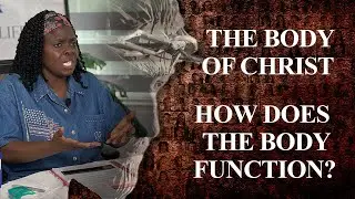 How Does the Body Function?