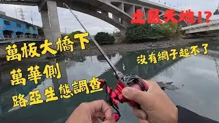 【路亞釣點】台北市區就能釣！萬板大橋（萬華側）進場路徑大公開｜裝備與釣點實測