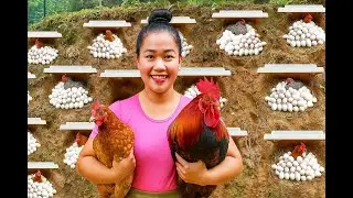 How to make nest for hens | lay many eggs and hatched chicks 