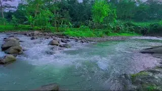 Remote River Stream for Meditation Music, Study Soundtrack, Sleep Enhancement and Natural Relaxation