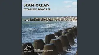 Tetrapod Beach