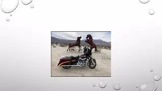 Screaming Eagle