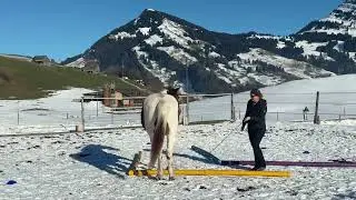 Winterspiele 😁