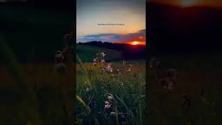 Beautiful Sunset View | Nature Calm