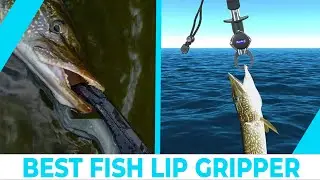 Best Fish Lip Gripper &ndash; Grip Your Fish Tightly!