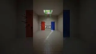 Which Door Are You Picking?
