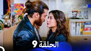مسلسل الطائر المبكر الإصدار الطويل الإضافي الحلقة 9 (Arabic Dubbed)