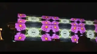 Florian Vogel - Violine und Juladi - visuals