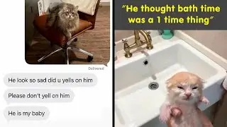 Wholesome & Funny Animal Memes To Help You Forget All The Chaos 🐶😂