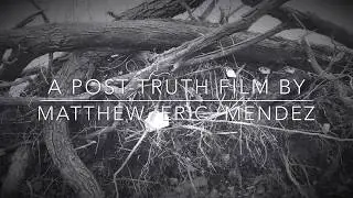 Dance of the Posthuman