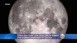 'Super Pink Moon' Over Miami Will Be Biggest And Brightest Supermoon Of The Year
