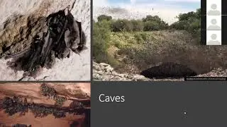 Серия вебинаров &laquo;Все о жуках: хорошие и плохие&raquo; за июнь 2019 г.: Batty for Bats