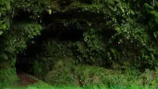 Pochuta