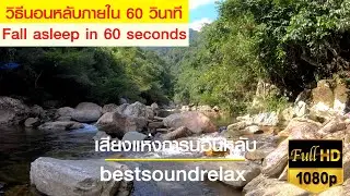 Gentle river flow with bird sound, Best nature sound for sleep, เสียงน้ำไหล นกร้อง ธรรมชาติ ผ่อนคลาย
