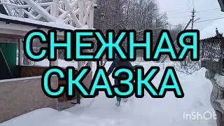 Наша снежная сказка.Как мы справляемся с морозной и снежной зимушкой.29.01.26.