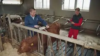 Alles wat je aandacht geeft, groeit!