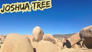 Best Joshua Tree Weekend | Hiking, Camping & Desert Views