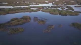 Florida Marsh - Visual By @thatrick904