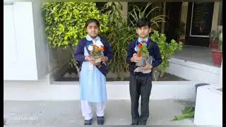  Plantation Activity | Growing Green, Growing Future #plantationactivity#plants#school #greatschools