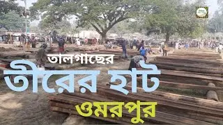 তাল গাছের তীরের হাট ওমরপুর। নন্দীগ্রাম, বগুড়া।