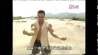 Sifu Lo Mang Southern Mantis Master