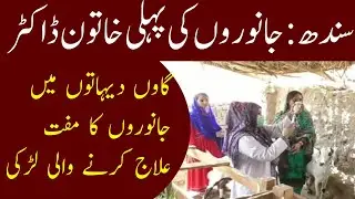 First Female Veterinary Doctor of Sindh | Free Treatment of Animal by Girl | Khabarwalay