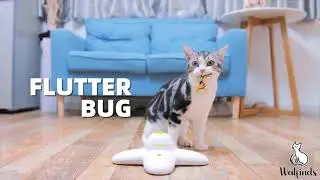 Fluttering Butterfly Interactive Cat Toy