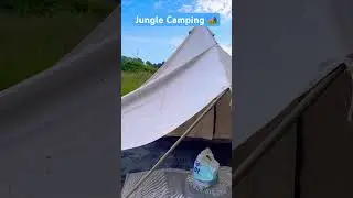 Jungle Camping 🏕️ in Dorset UK 🇬🇧 #dorsetcoast #trending #junglecamping
