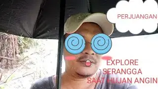 MENCARI BAHAN VIDEO SAAT HUJAN KITA DAPAT APA  SAJA?? #explore #vlogs #insects #serangga #vlogs 