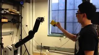 WAM end-point position and orientation tracking