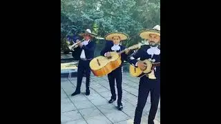 Vihuela! Mariachi V&iacute;ctorio&rsquo;s de Jalisco 🇲🇽