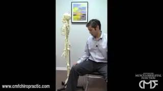 Center for Musculoskeletal Function : Nerve Pain