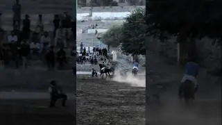 free style polo in skardu Gilgit-Baltistan #trending #trending #pakistan #shortvideo #shorts