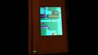 random pokemon egg