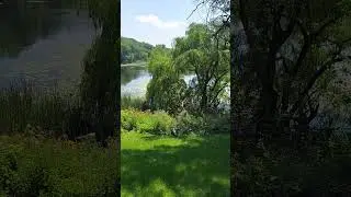 July 6, 2025 Golf weather report from Minnesota #minnesota #weather #golf