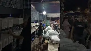 Фестиваль MassKara 2025 официально открылся 1 октября! Methz Workz Setup в NGC ✅ и Bacolod Plaza 🔨⏳🎉