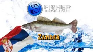 Fisher Online Daily -- ZANDER -- Serbia r. Danube