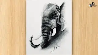How to draw 