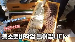 3월 11일 증소준비작업 들어갑니다! 로울러 준비해주세요~(1번벌통)