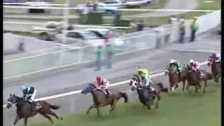 The Cardinal wins on International Jockeys' Week End - 06.12.09