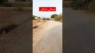#villagelife #villagevlog #villageroad #pakistanifarmers