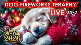 DOG TERAPHY MUSIC after FIREWORKS for Reduce Stress, Anxiety Relief | Dogs Sleep Fast