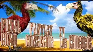 FINAL FANTASY XV COMO CONSEGUIR LOS CHOCOBOS.