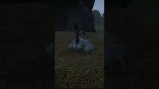 Cape vulture mod for planet zoo #animalpark #game #planetzoo