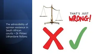 Допустимость мнений в качестве доказательств в южноафриканских судах. Доктор Филани Л. Ндлову