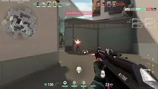 boii
