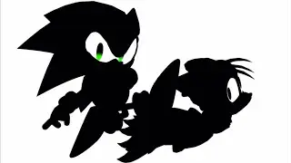 Sonic & tails duo win 