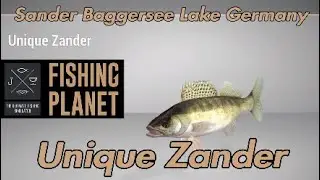 Уникальный судак &mdash; озеро Зандер-Баггерзее, Германия &mdash; путеводитель по Fishing Planet