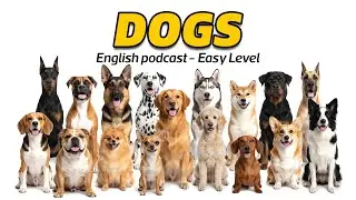 Talking About 17 Dog Breeds | English Conversation