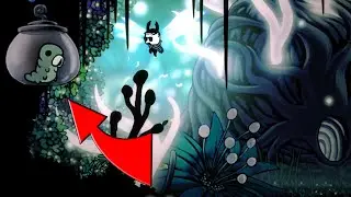 Hollow Knight - Queens Garden GrubLocation